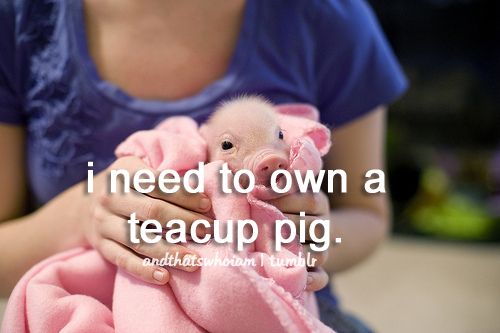 photo tumblr_m1aafc8p8h1rogngso1_500_zpse9b98bc2.jpg