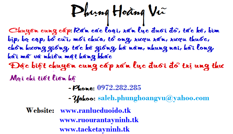 PHVQuangcao-1.png