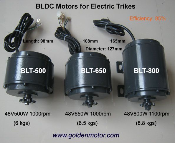 BLDCMotorsforLightWeightTrikes_zpse0c2c04e.jpg