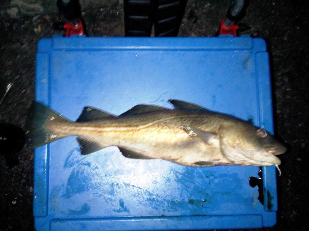 IMG00327-20110605-2318.jpg