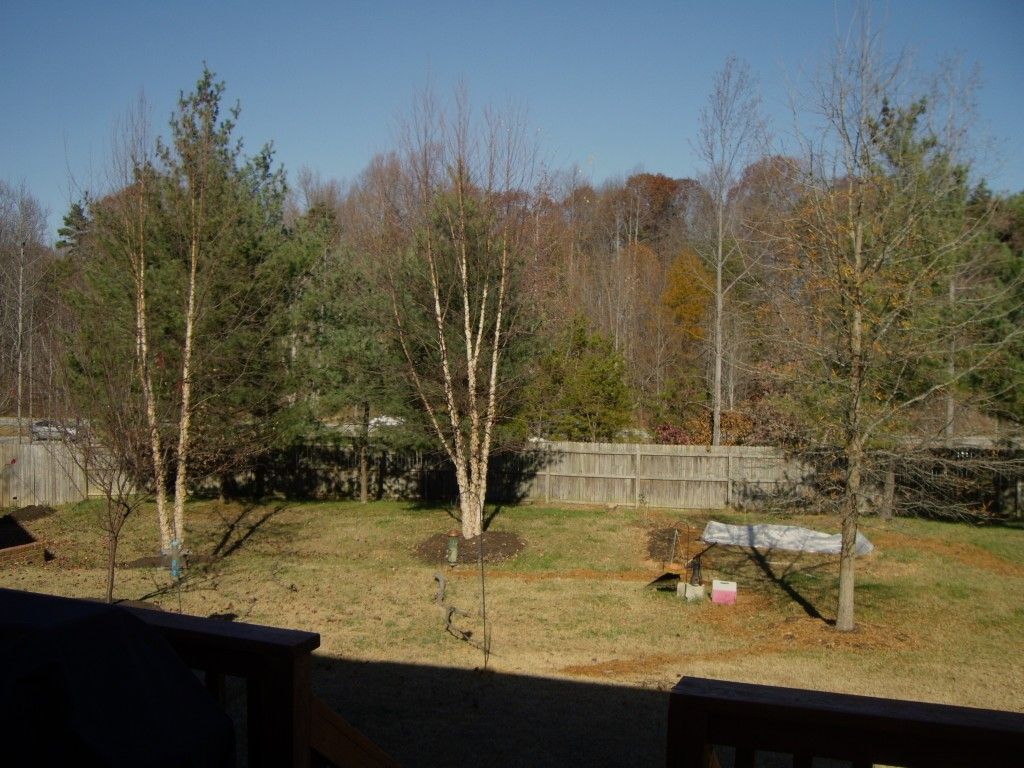 November 2010: One section of our typical American lawn with some potential pathways being imprinted on the landscape.