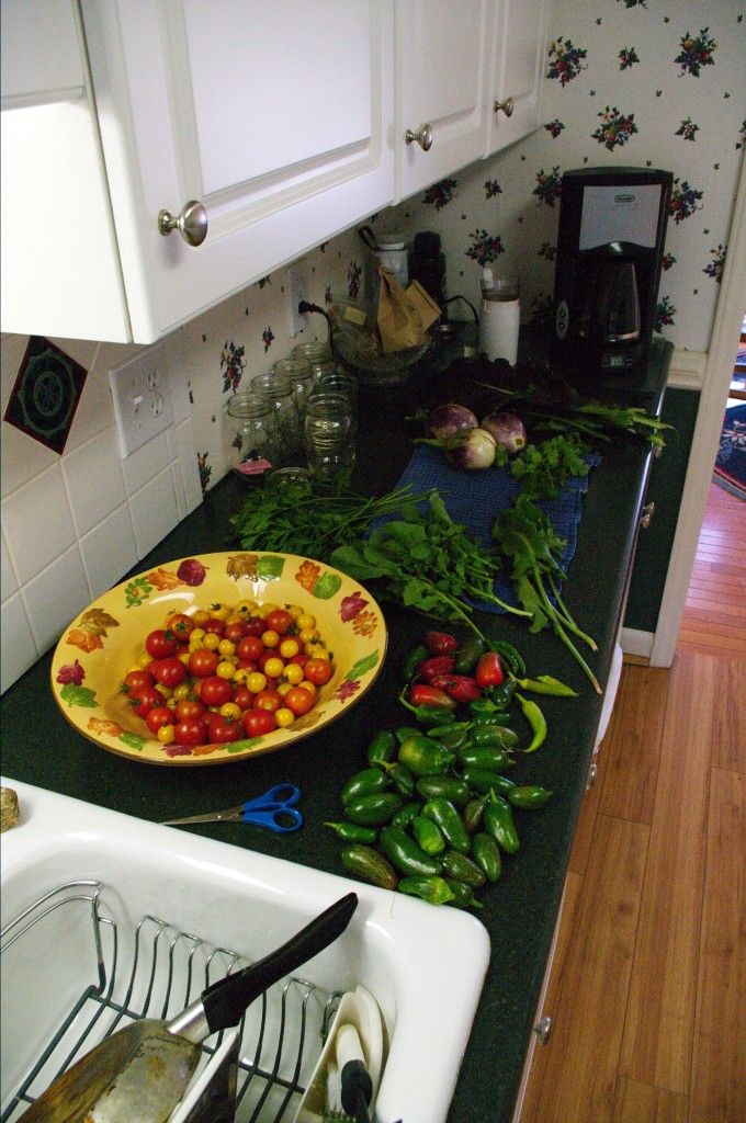November 9, 2011. November and we are still harvesting tomatoes- this time from volunteer tomatoes that came in the mulch. These tomatoes were almost never watered- they were left to fend for themselves and fruited into the fall. And just look at all of those peppers.