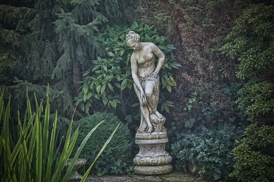 Fotografie