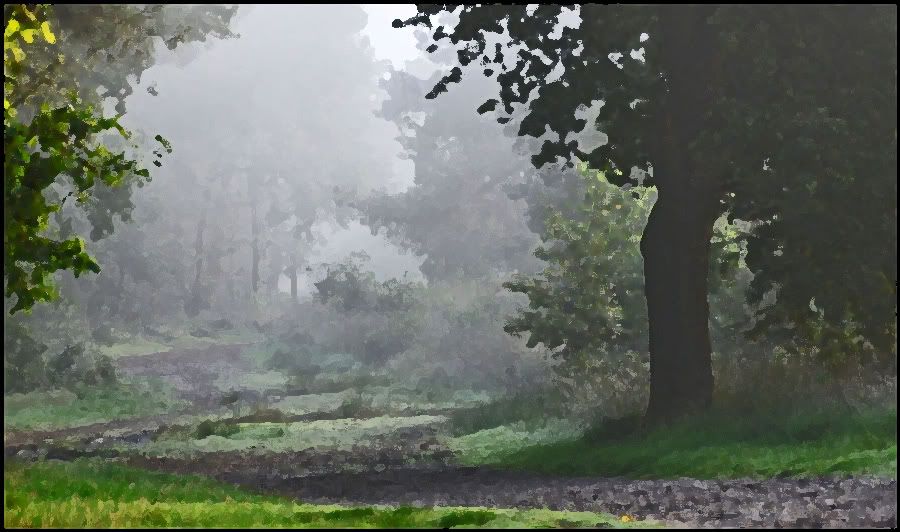 Fotografie