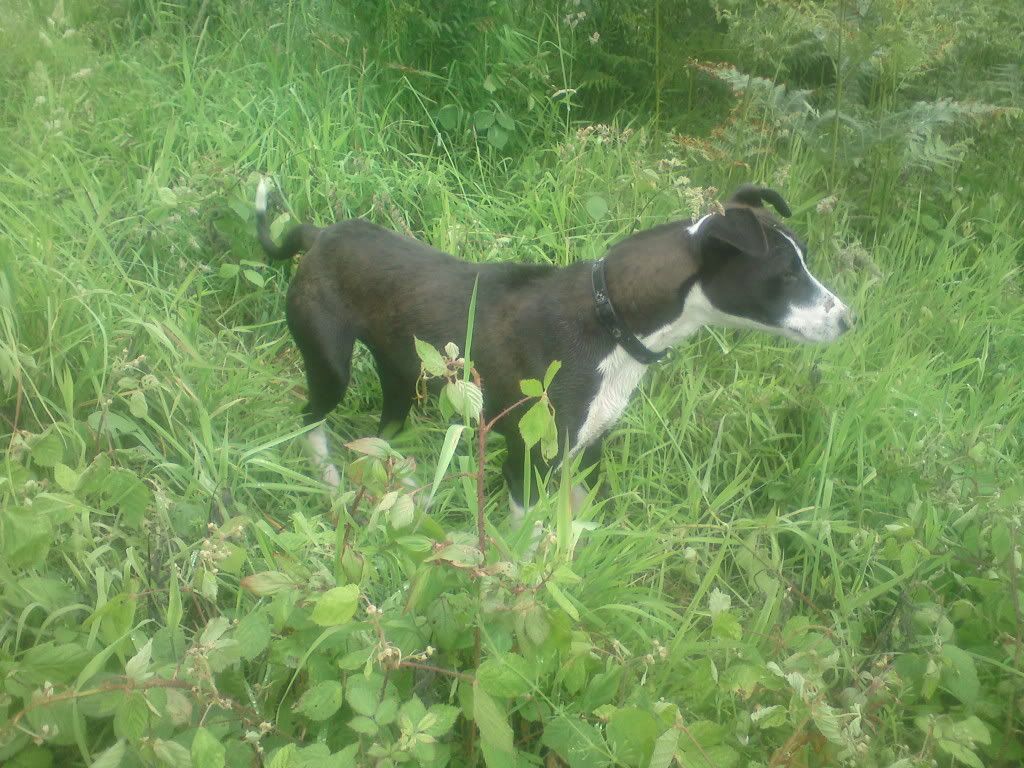 DSC00432.jpg