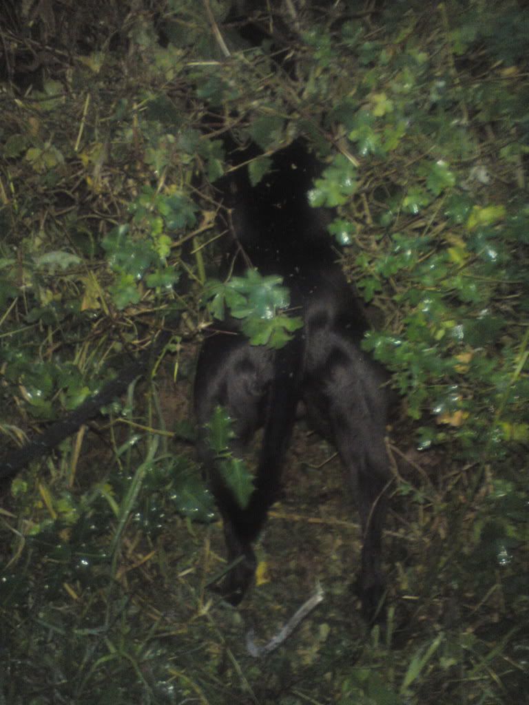 DSC00474.jpg