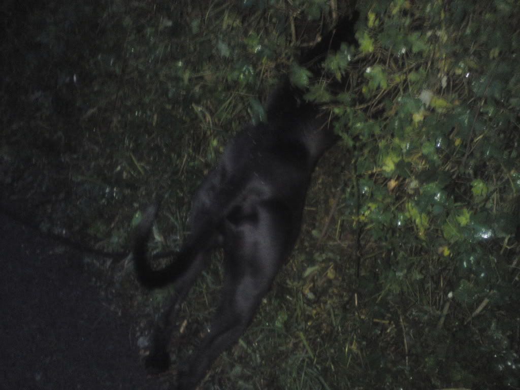 DSC00475.jpg