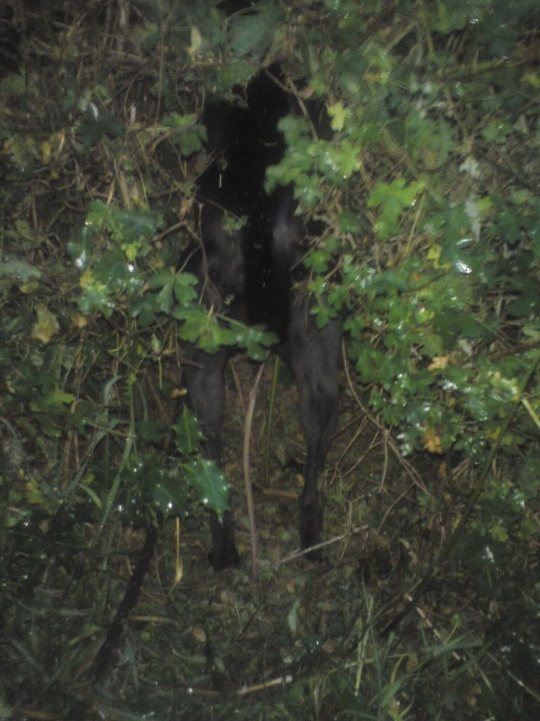 DSC00476.jpg
