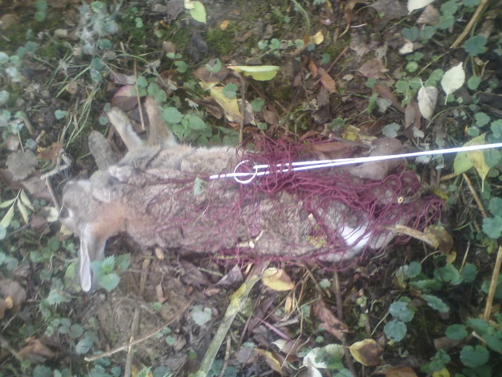 DSC00661.jpg