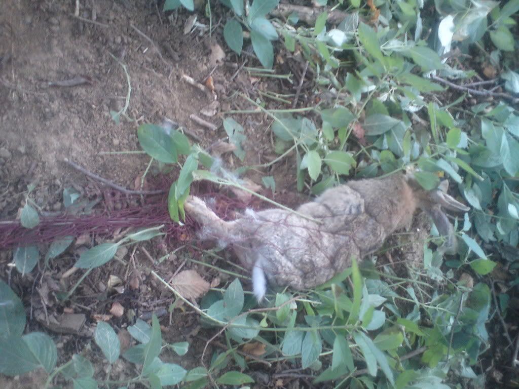 DSC00669.jpg