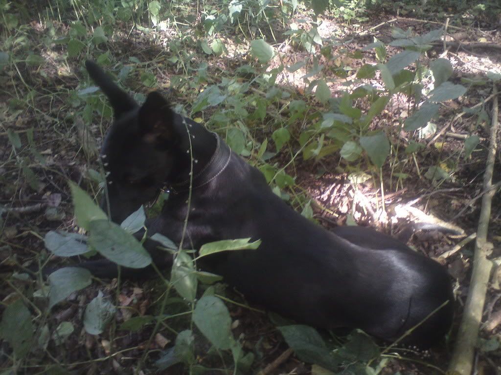 DSC00677.jpg