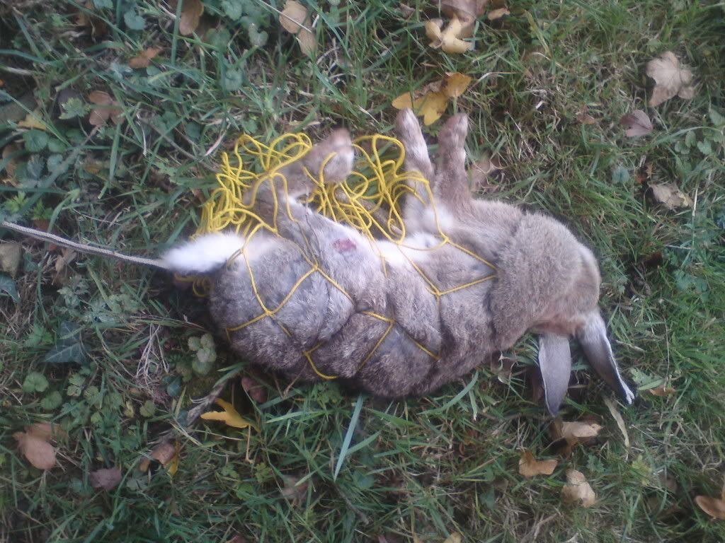 DSC00681.jpg