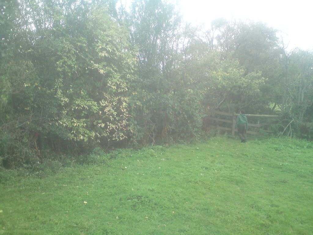 DSC00722.jpg