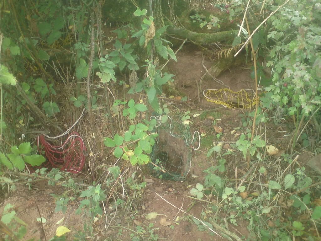 DSC00725.jpg
