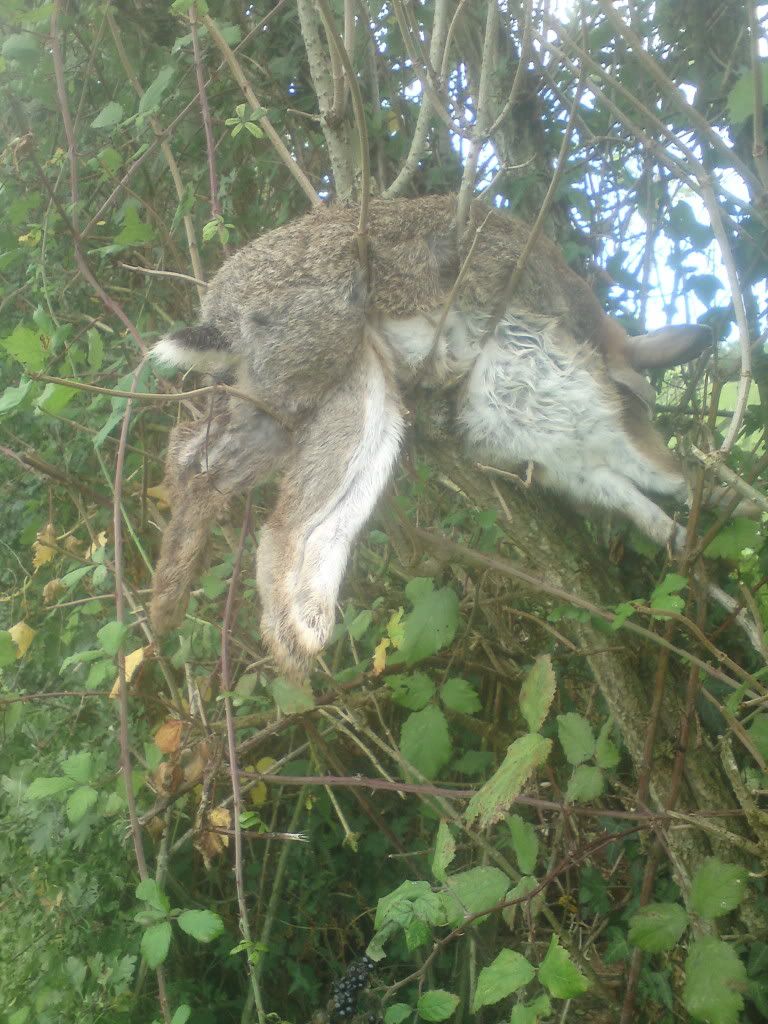 DSC00726.jpg