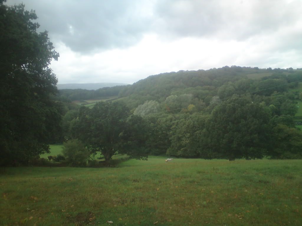 DSC00728.jpg