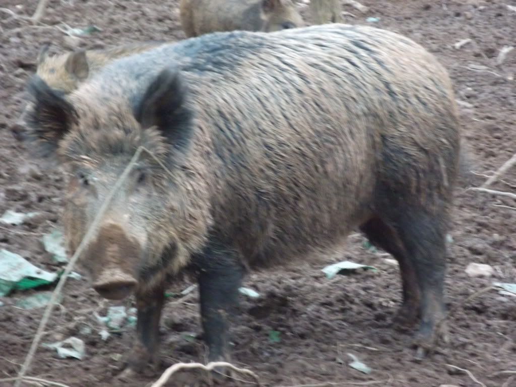 DSCF6192.jpg