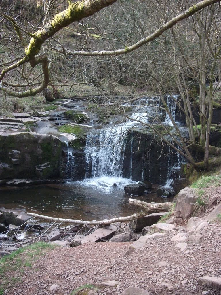 DSCF6473.jpg