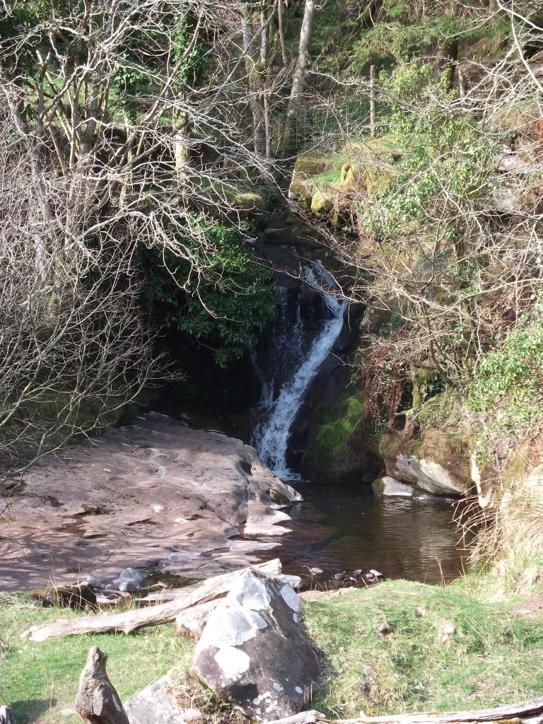 DSCF6476.jpg