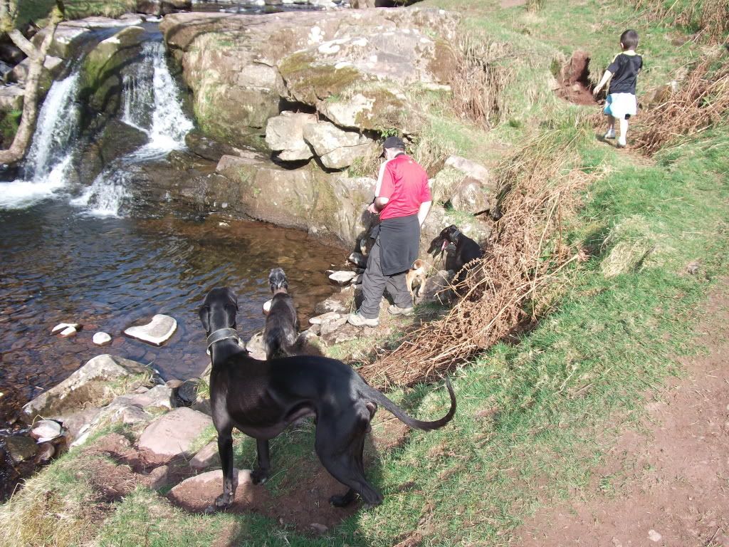 DSCF6478.jpg