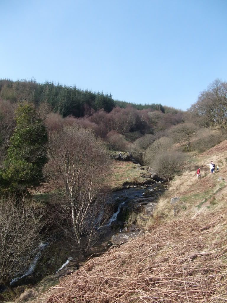 DSCF6481.jpg