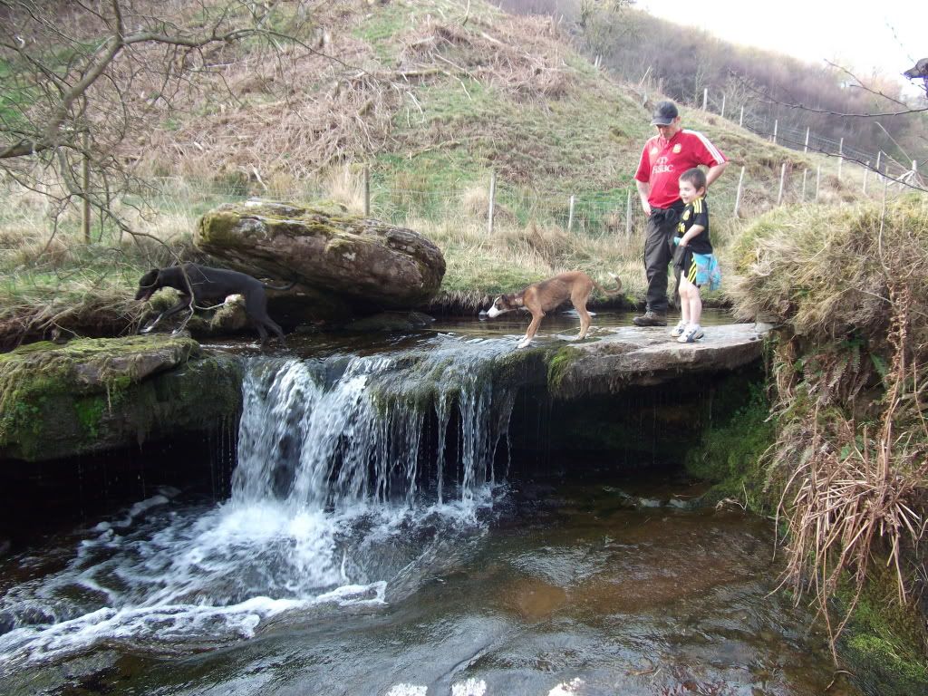 DSCF6495.jpg