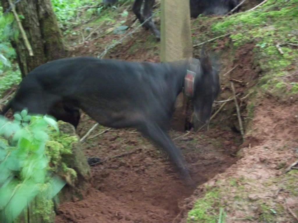 DSCF6611.jpg