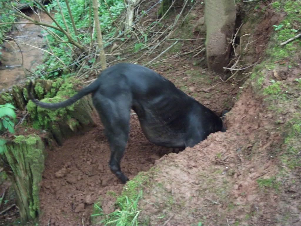 DSCF6614.jpg
