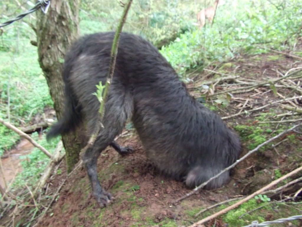 DSCF6616.jpg