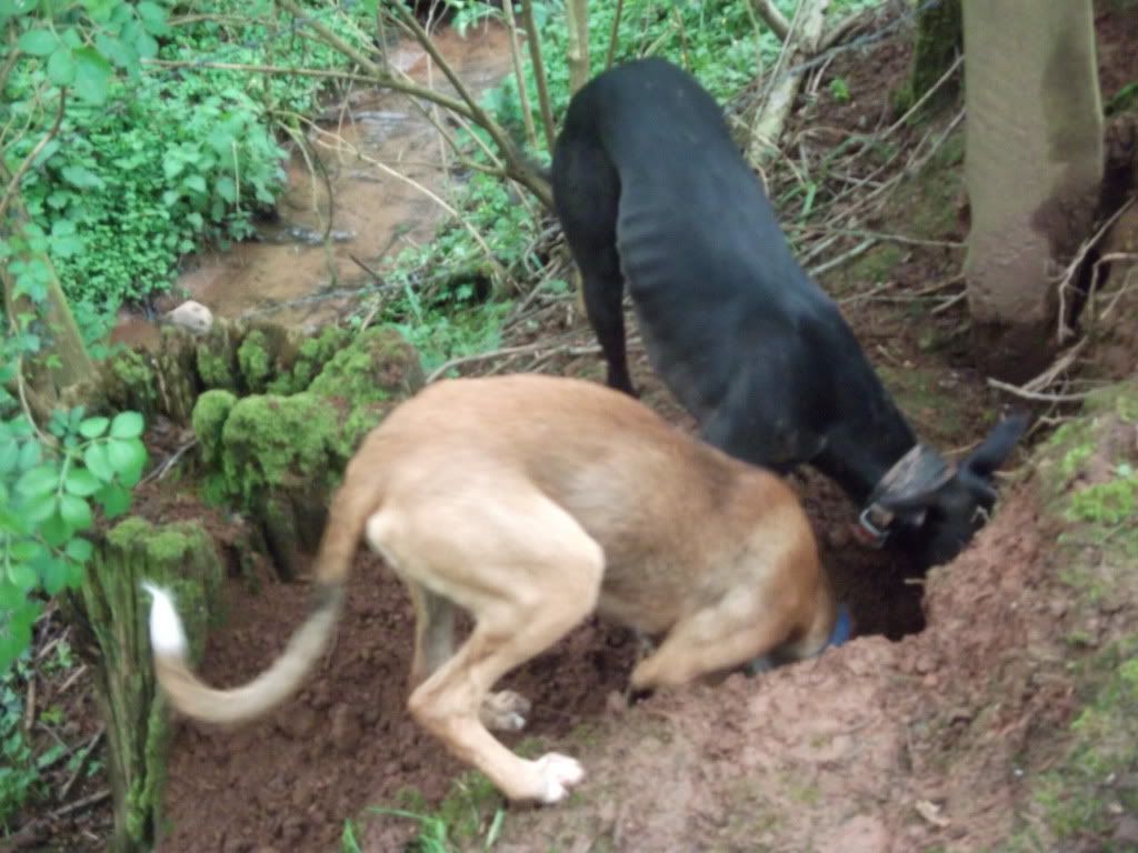 DSCF6618.jpg