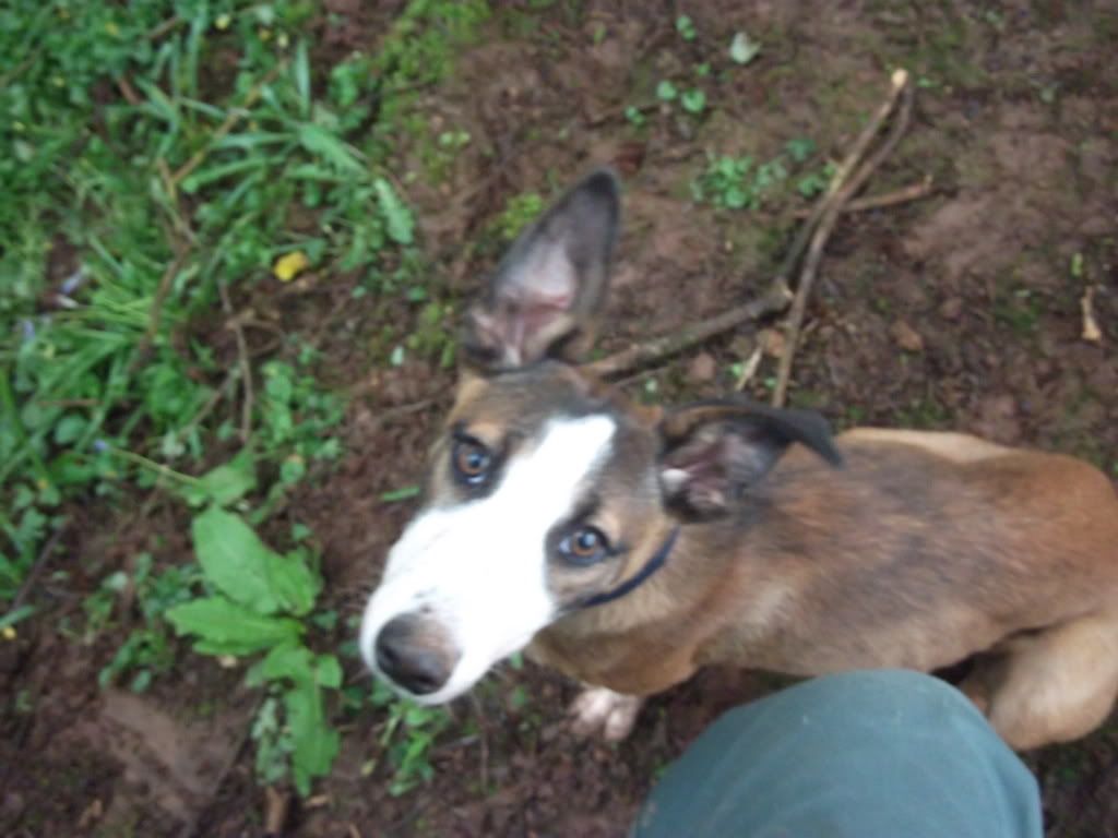 DSCF6620.jpg