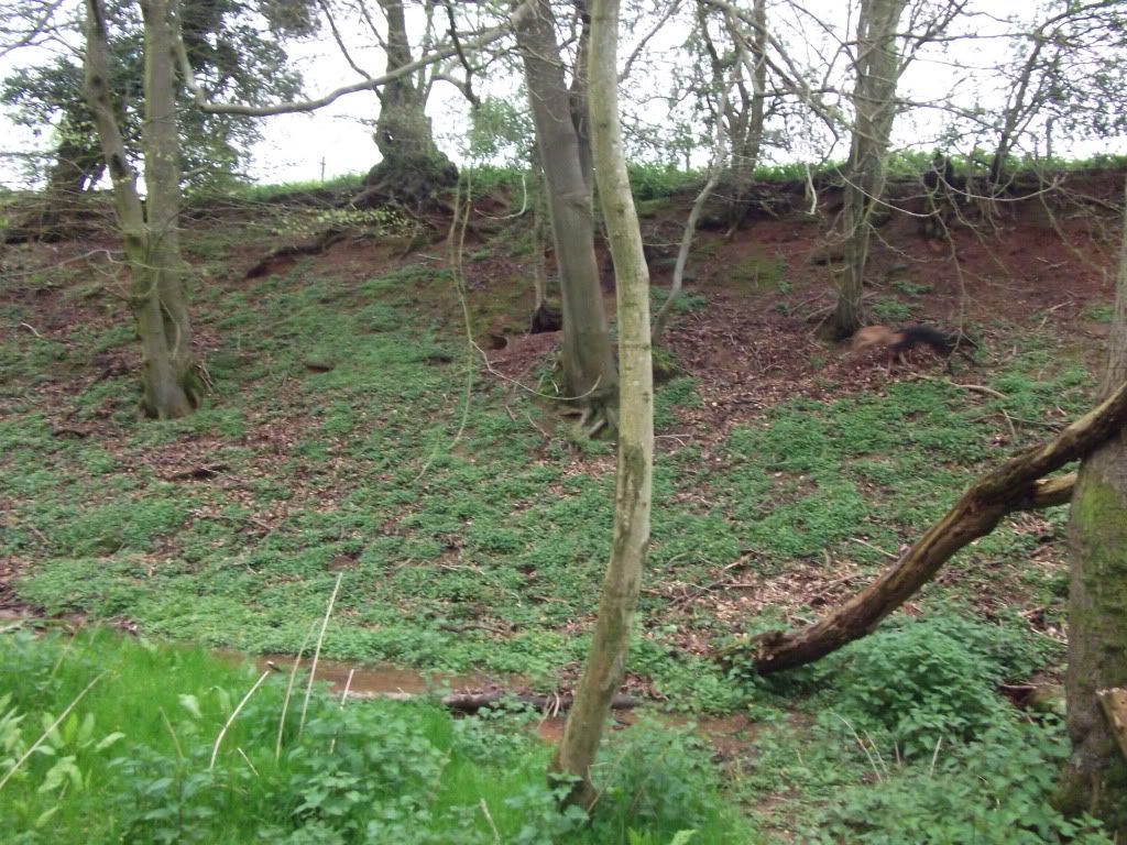 DSCF6624.jpg