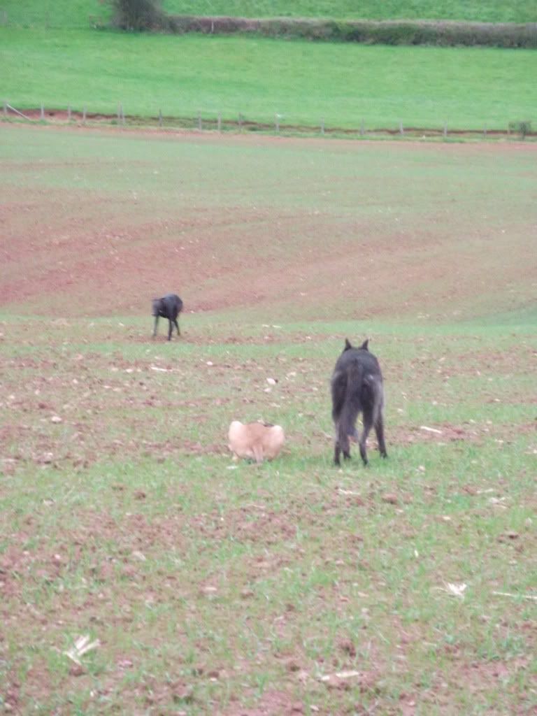 DSCF6634.jpg