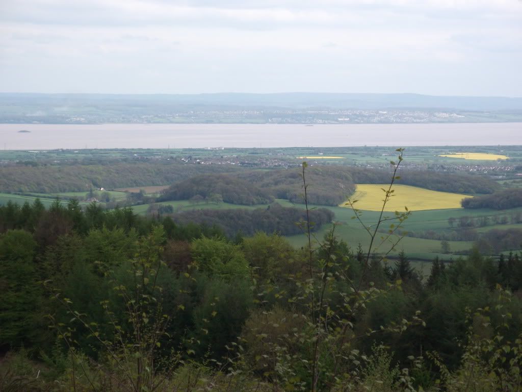 DSCF6672-1.jpg