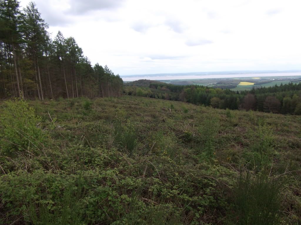 DSCF6673.jpg
