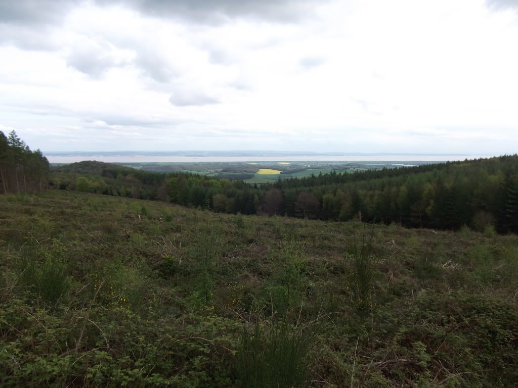 DSCF6674.jpg