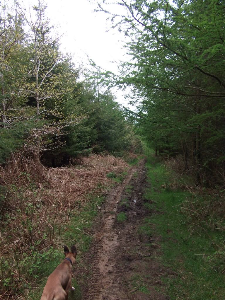 DSCF6679.jpg