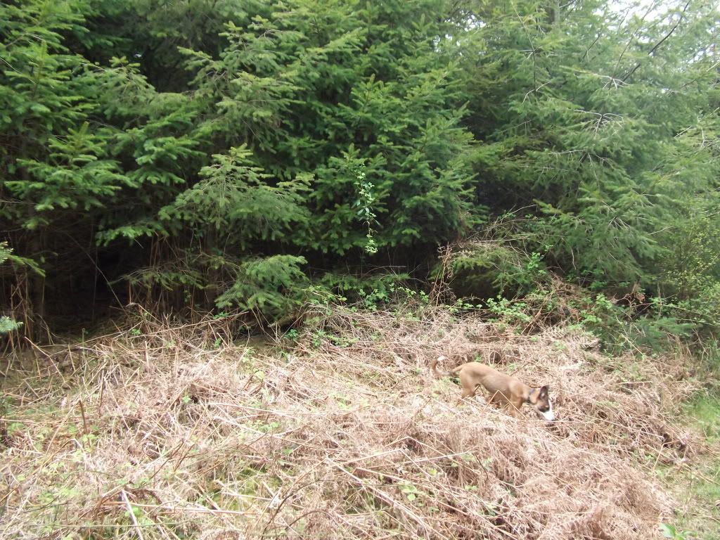 DSCF6680.jpg
