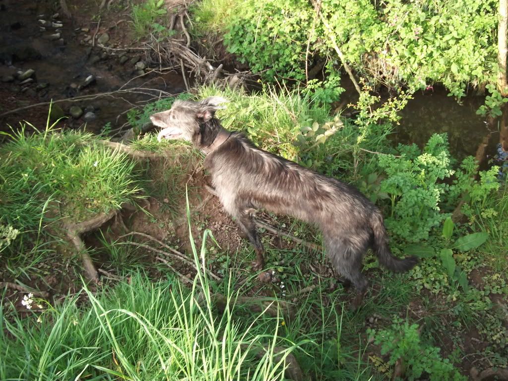 DSCF6788.jpg