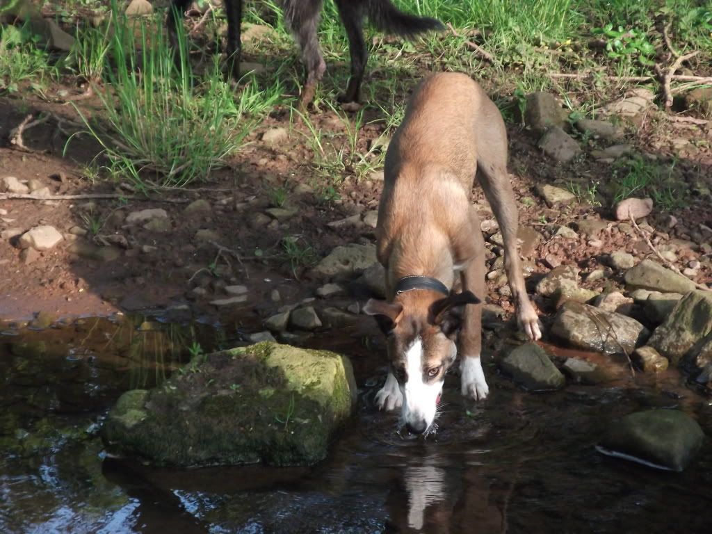 DSCF6789.jpg
