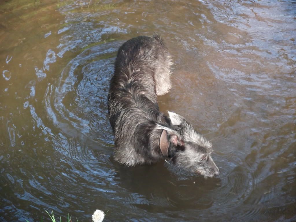 DSCF6791.jpg