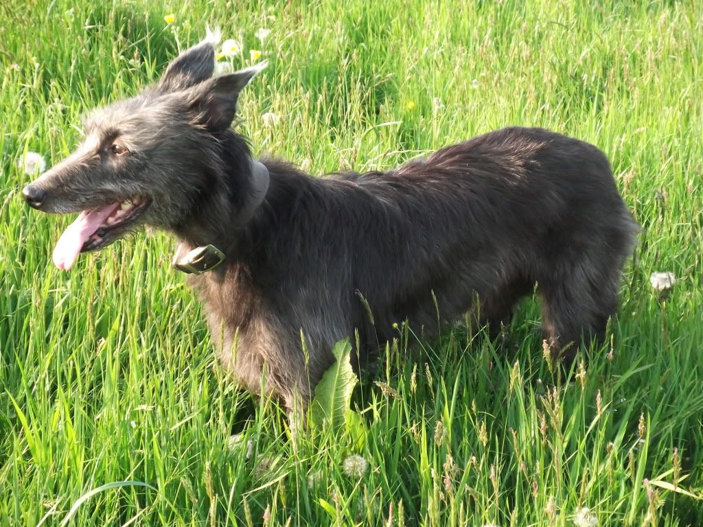 DSCF6797.jpg