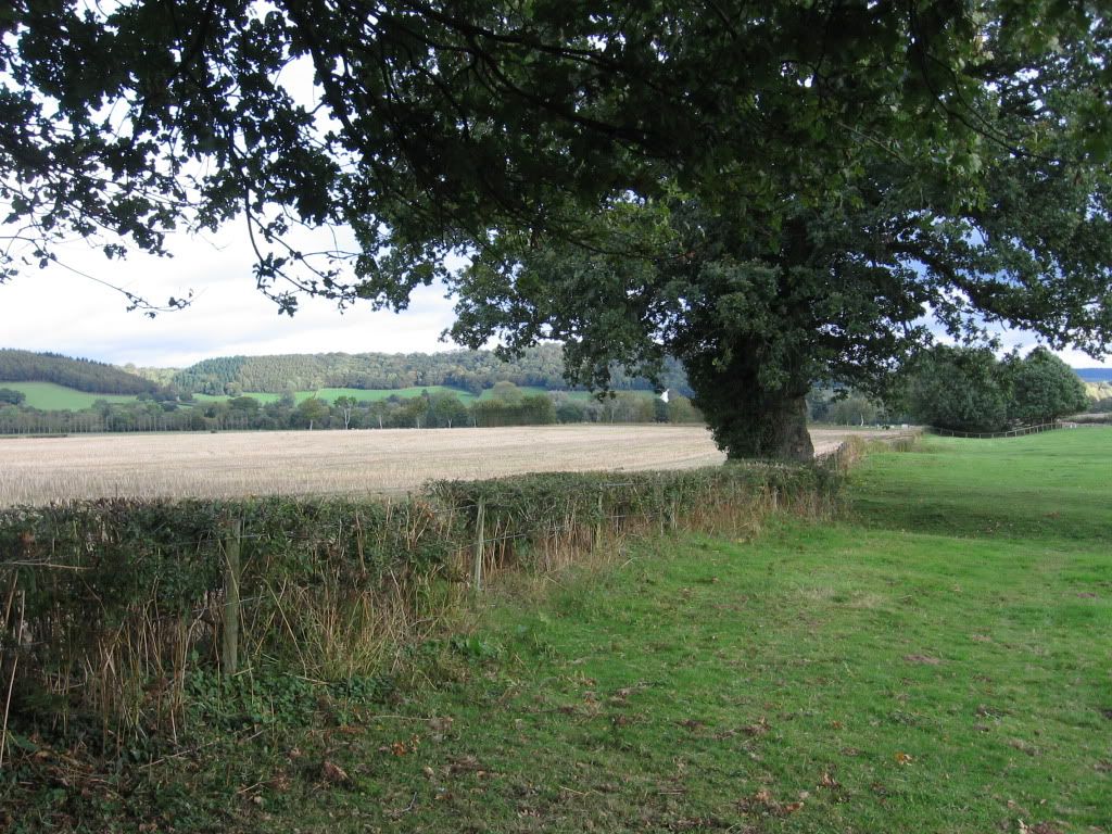 IMG_1708.jpg