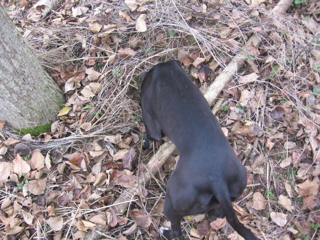 IMG_1747.jpg