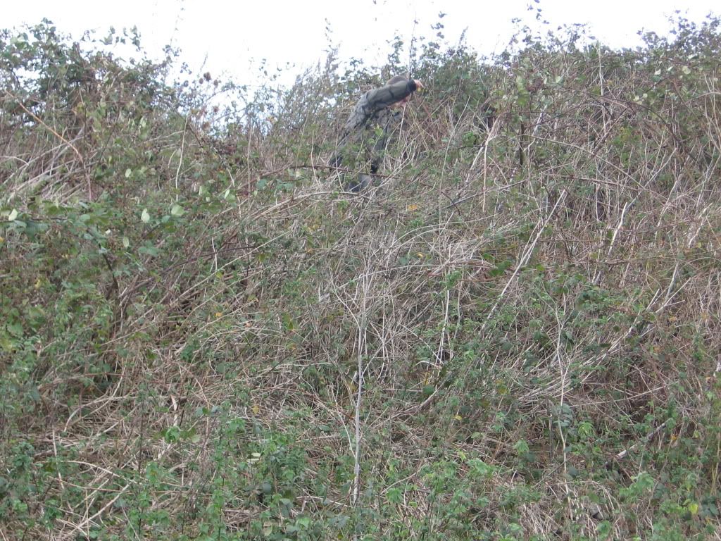 IMG_1759.jpg