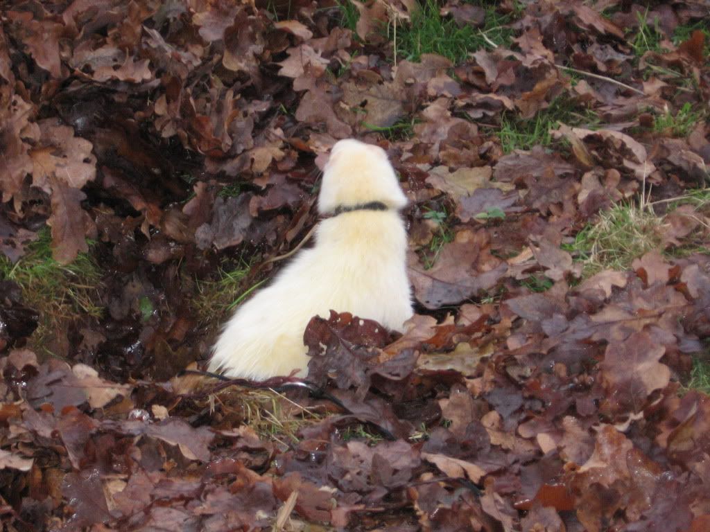 IMG_2152.jpg