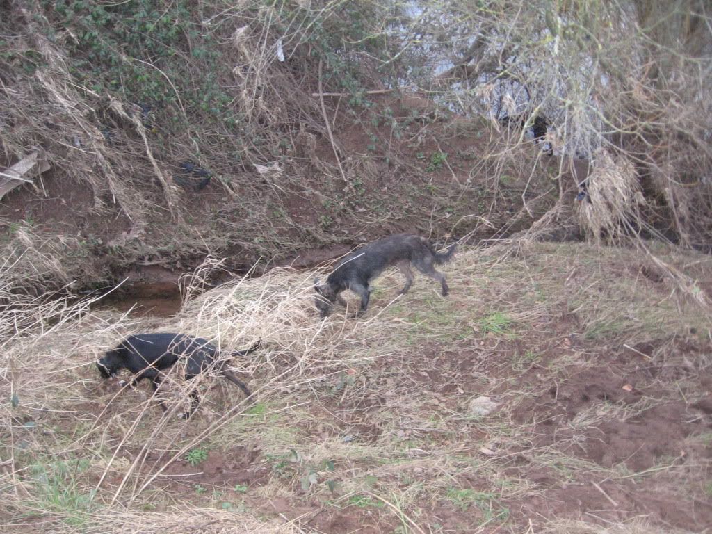 IMG_2248.jpg