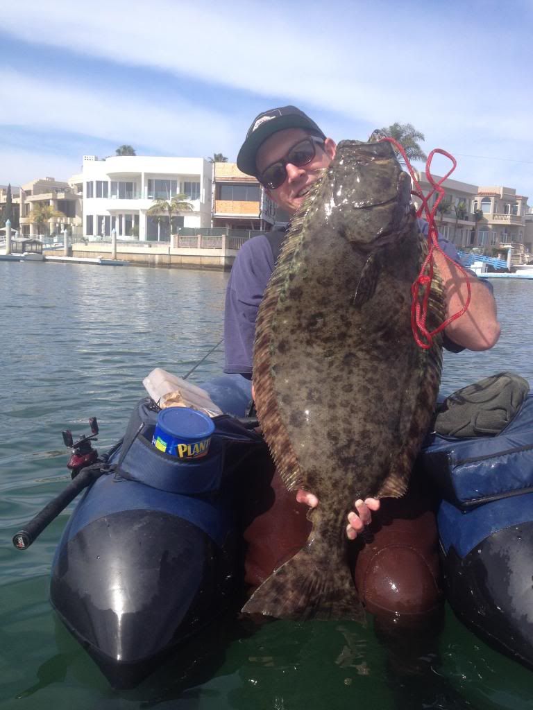 Halibut on float tube 2/15/14 Bloodydecks