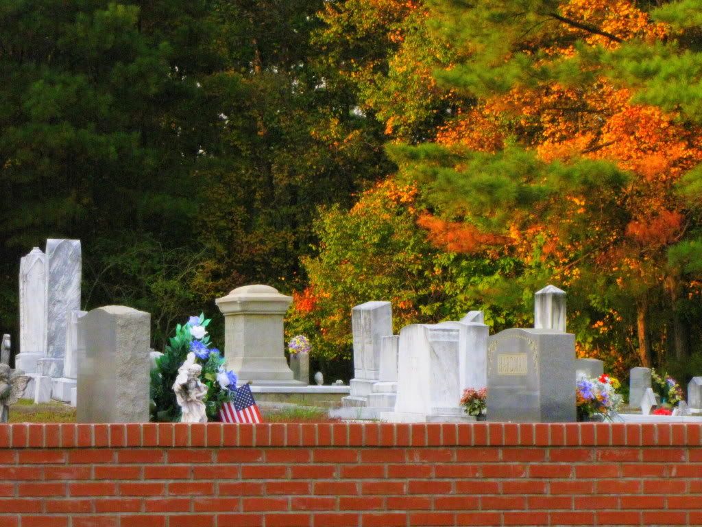 Celebrating Life photoshop photography gravestones cemetery IMG 1992 Celebrating Life