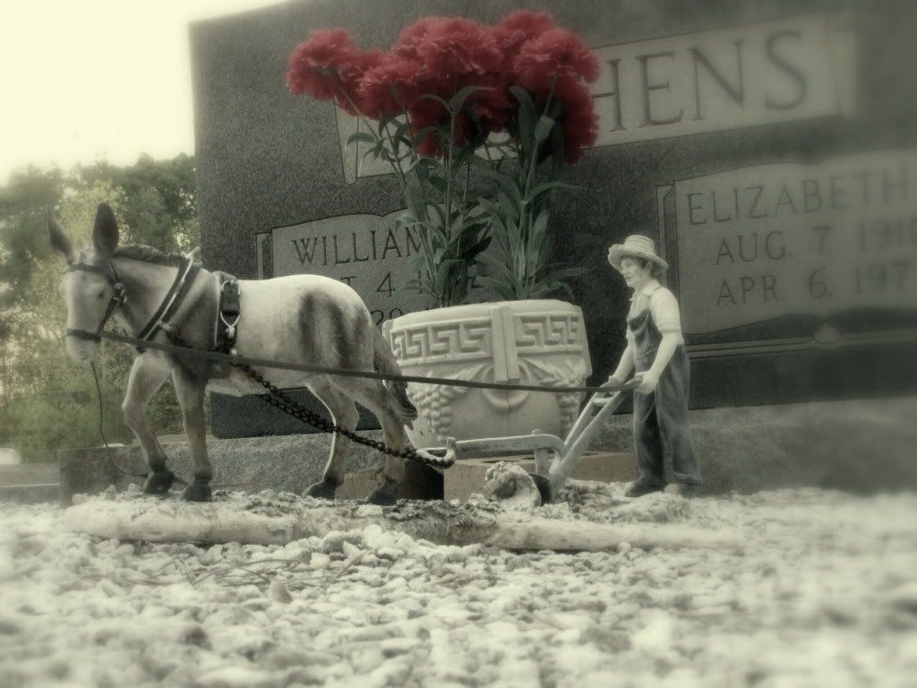 Celebrating Life photoshop photography gravestones cemetery IMG 1997 Celebrating Life